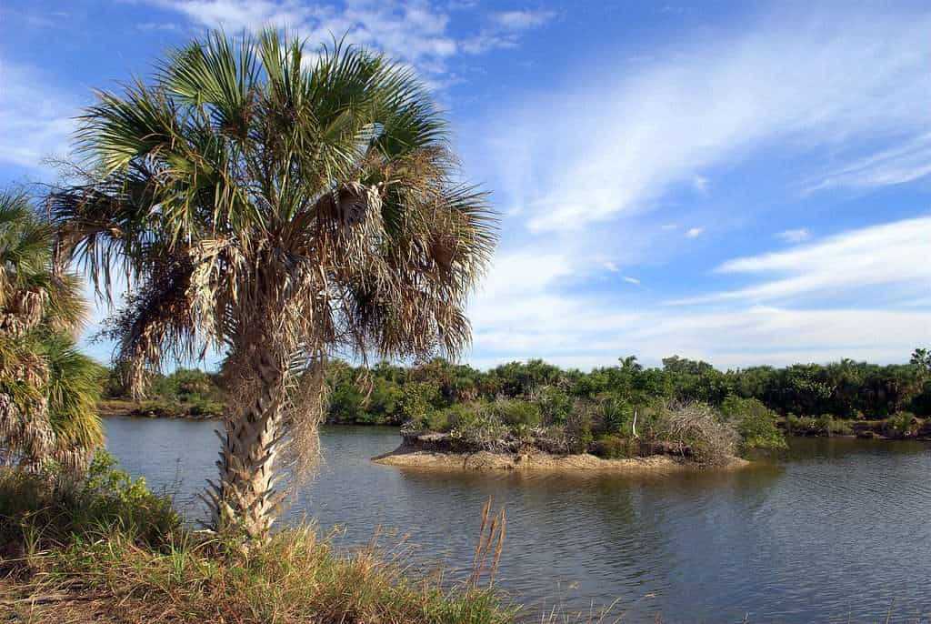 Top 10 Beaches Around Fort Myers to Visit 3 4246112713 9eeacff8e3 b