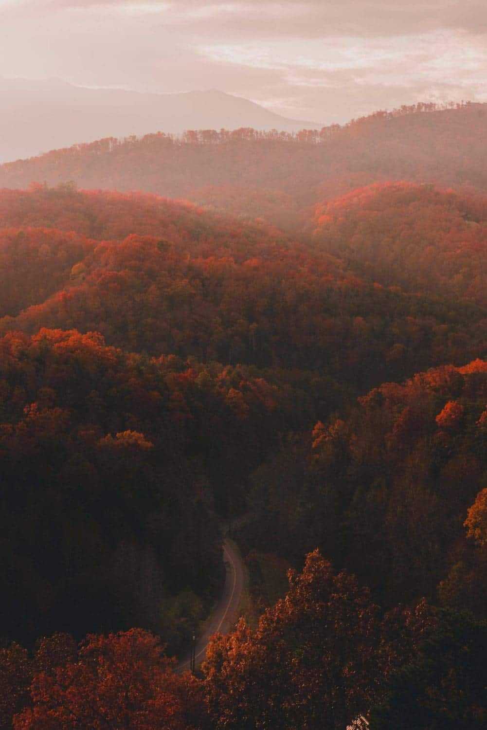 How Many National Parks Are There In The US- 42 Sensational Beauties To Travel 10 how many national parks are there in the US