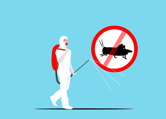 How To Get Rid Of Ants: 5 Effective Ways 5 How to get rid of ants