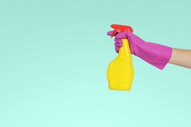 How To Get Rid Of Ants: 5 Effective Ways 3 How to get rid of ants
