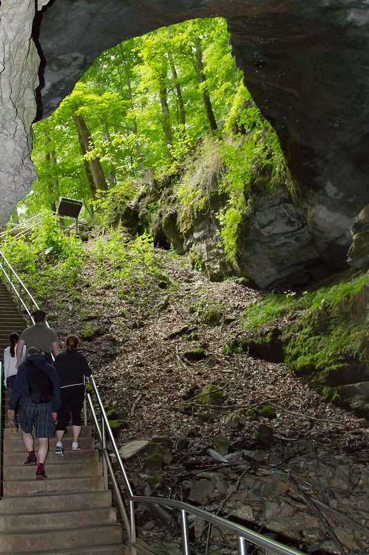 How Long to Tour Mammoth Cave: An Amazing 2021 Guide 6 9578004347 72e8183f80 c 1