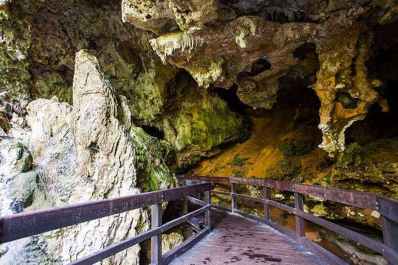 How Long to Tour Mammoth Cave: An Amazing 2021 Guide 1 mammoth cave National park