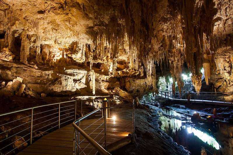 How Long to Tour Mammoth Cave: An Amazing 2021 Guide 5 mammoth cave