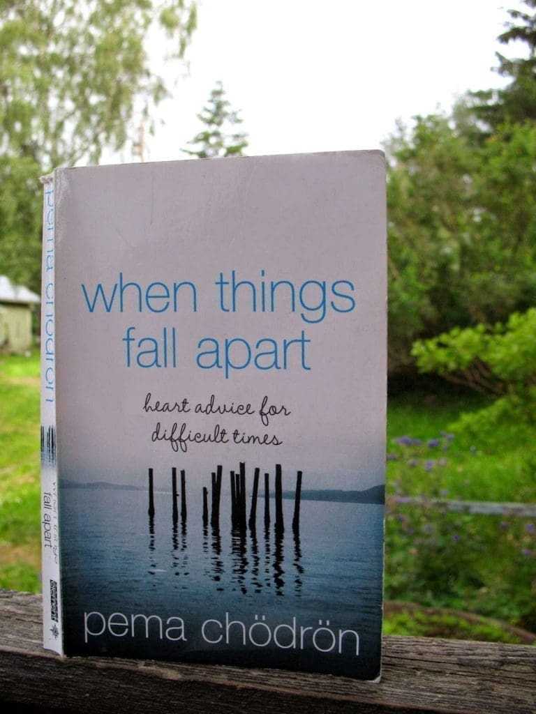 13 Best Self-help Books You Cannot Miss Out On 9 When Things Fall Apart