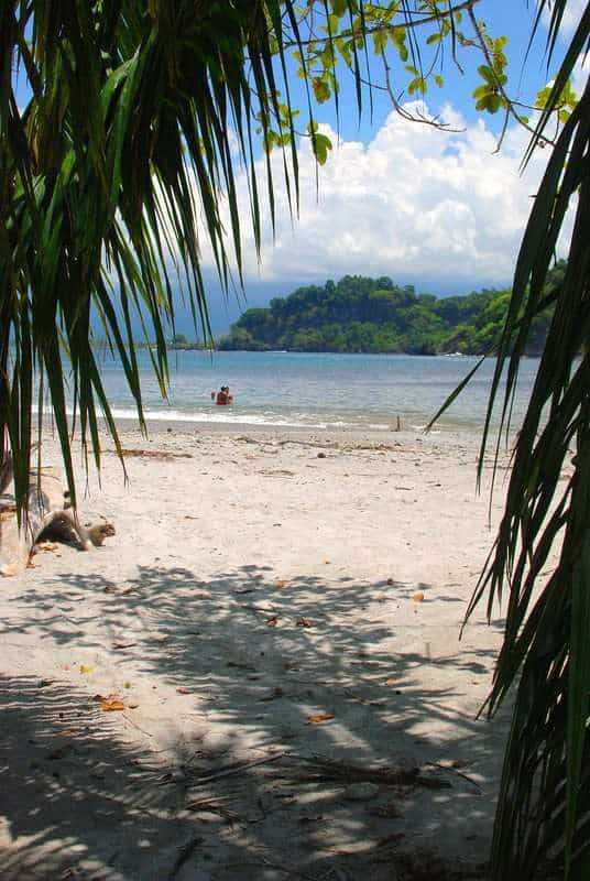 When is the Best Time To Visit Costa Rica: 1 Complete Guide 2 it1 1