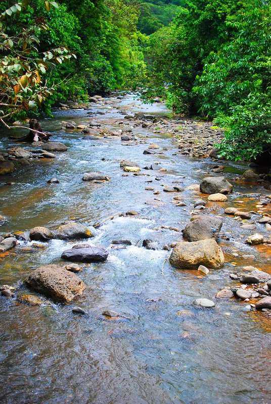 When is the Best Time To Visit Costa Rica: 1 Complete Guide 3 it2 1