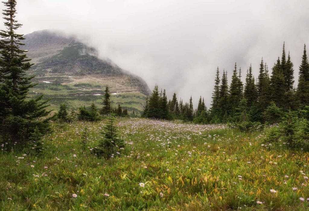 Best Hikes in Glacier National Park: Guide 2022 3 21376274 logan pass
