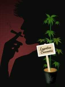 Is It Legal To Celebrate Christmas With Top Shelf Cannabis? 1 Legalize Cannabis