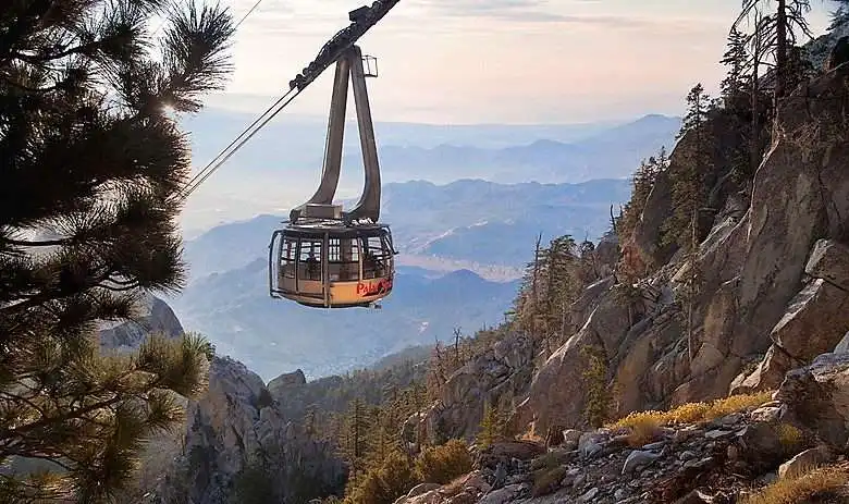 14 Fun Things To Do In Palm Springs 1 Fun things to do in Palm Springs,