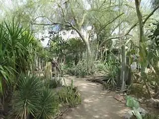 14 Fun Things To Do In Palm Springs 7 Moisten Botanical Garden