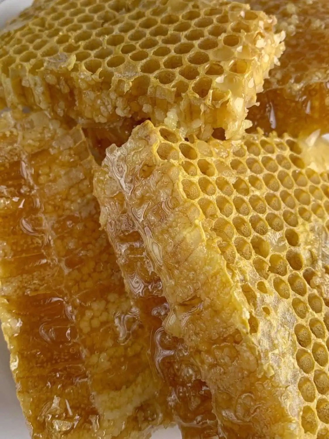 What Do Caterpillars Eat: Top 10 Things They Consume 5 Honeycomb