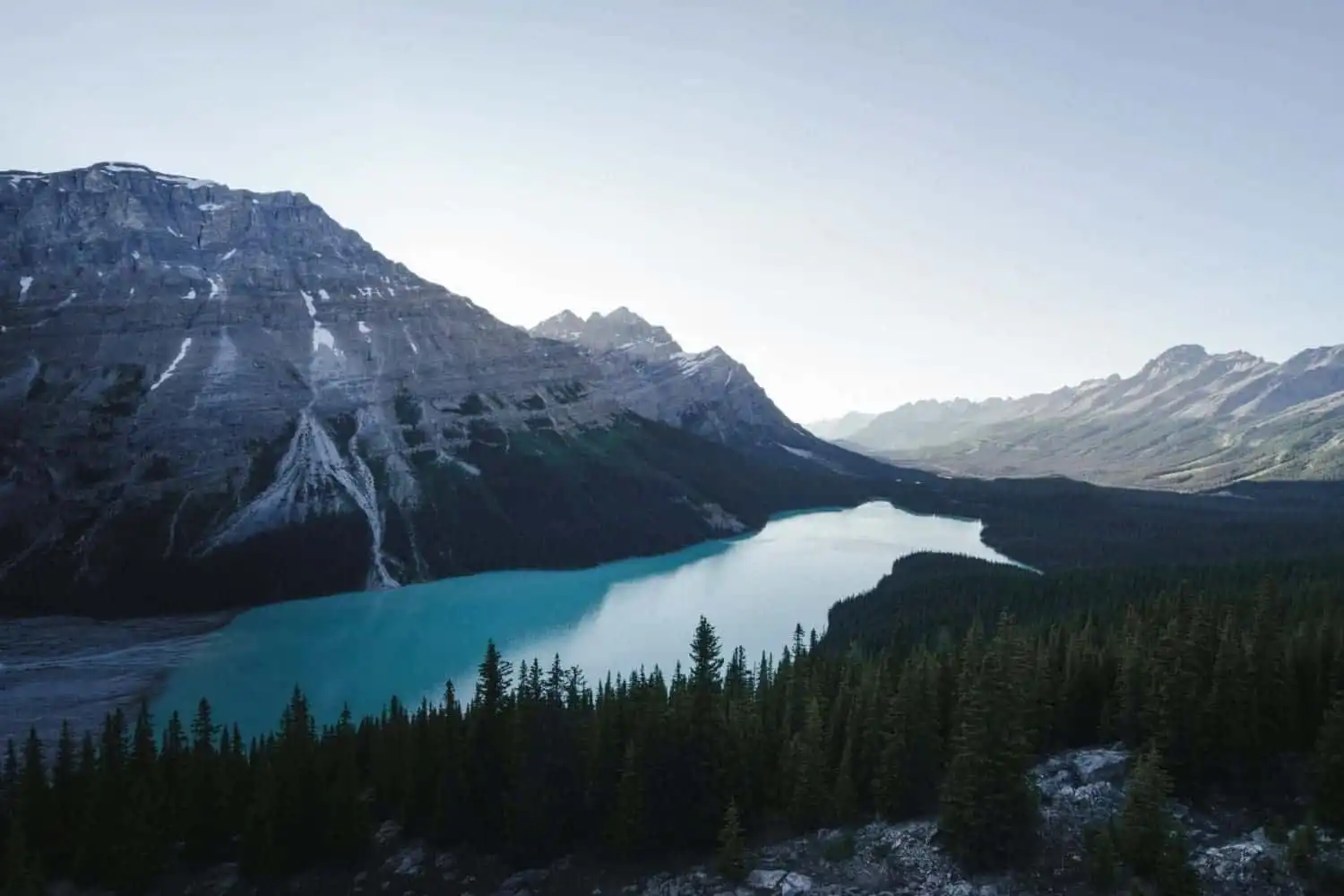 How Far Is Alaska From Russia: 3 Facts You Should Know 2 pexels errin casano 2356064 scaled