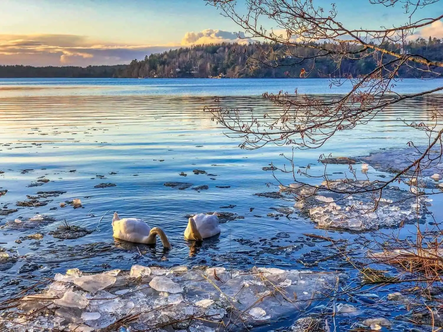 How Far Is Alaska From Russia: 3 Facts You Should Know 3 pexels nextvoyage 3779783 scaled