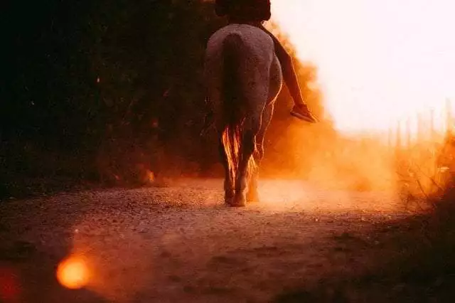 horseback riding in Alabama