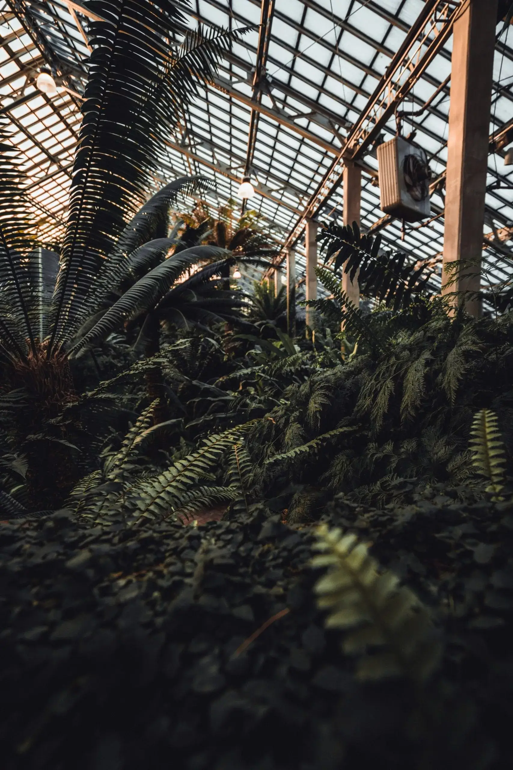 Things to do in Galveston