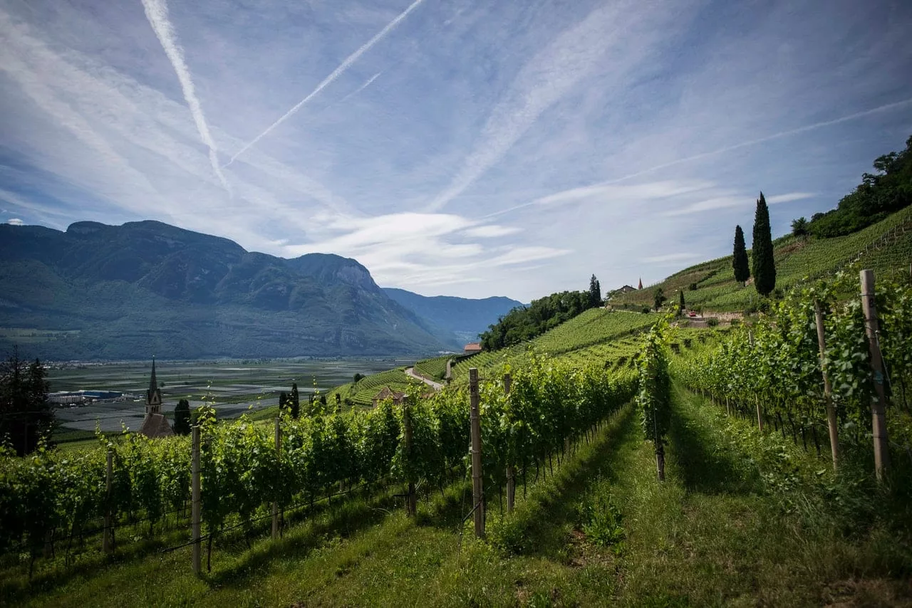 missouri wineries and vineyards