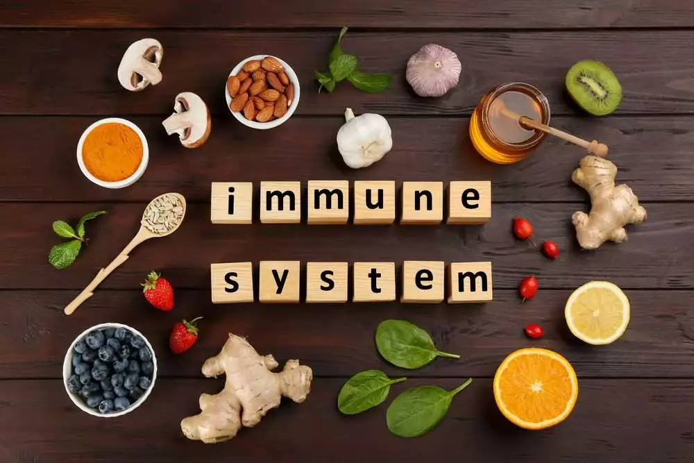 immune system for human body