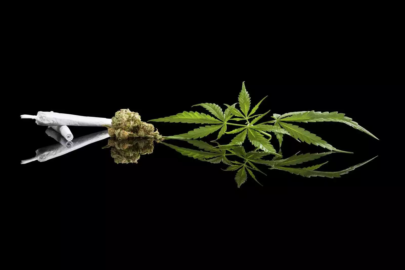 Marijuana background. Cannabis cigarette joint, bud and hemp leaves isolated on black background. Addictive drug or alternative medicine.