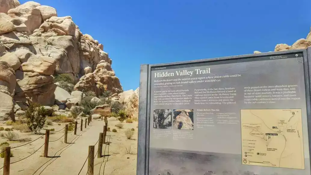 11 Best Hikes in Joshua Tree That You Need to Go On 12 pavol svantner g6YVagIOBE unsplash