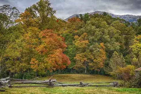 Cades Cove