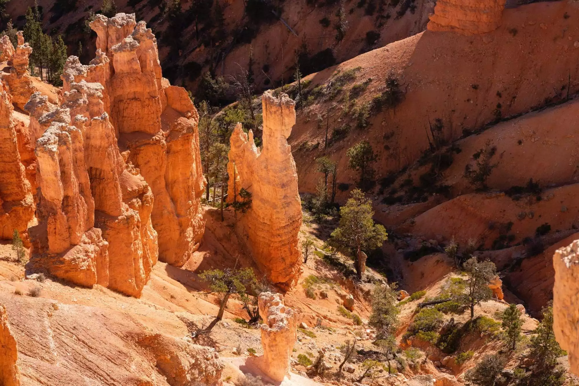 Best Hikes in Bryce Canyon