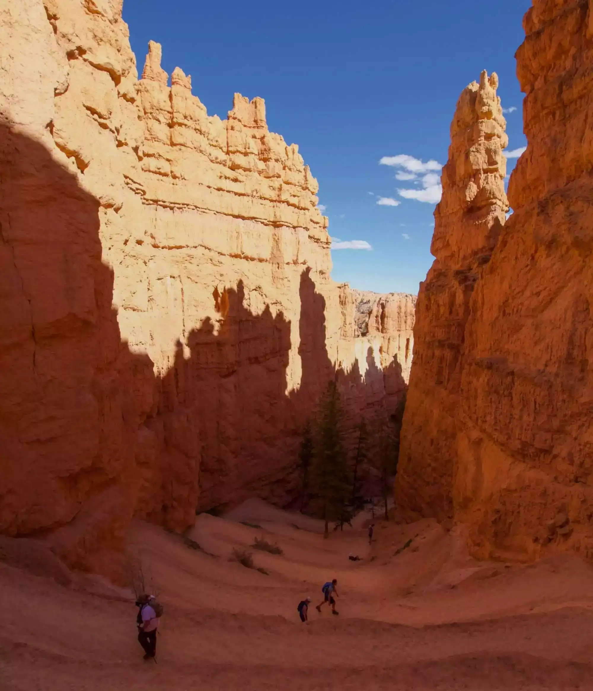 11 Best Hikes in Bryce Canyon 7 Best Hikes in Bryce Canyon